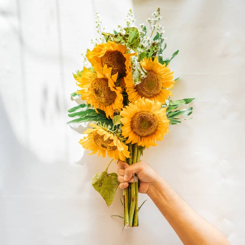 Get Well flowers