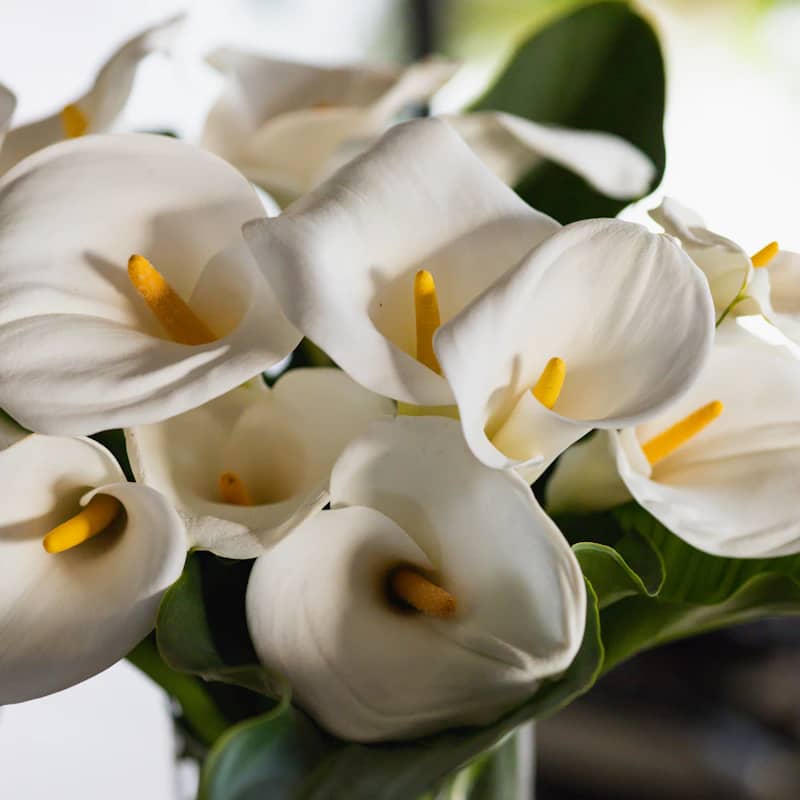 Sympathy & Funeral flowers
