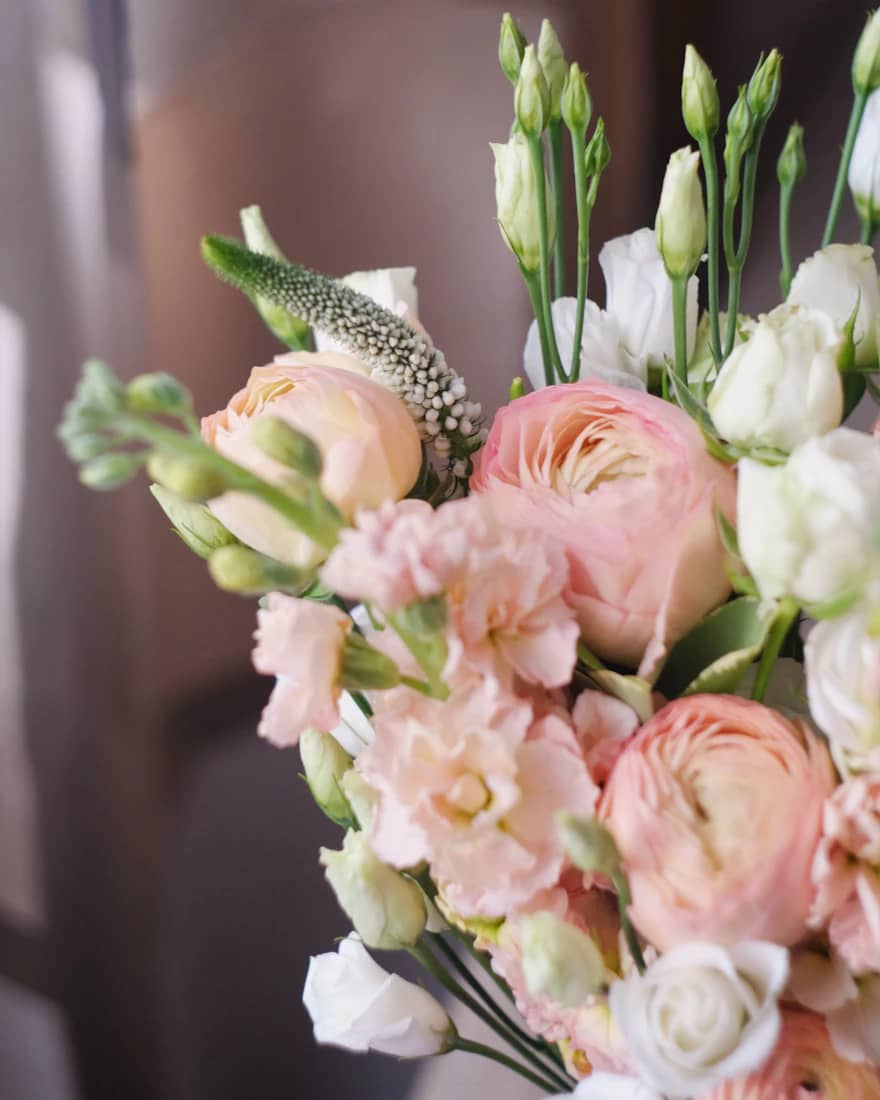 Blushing Pink Roses
