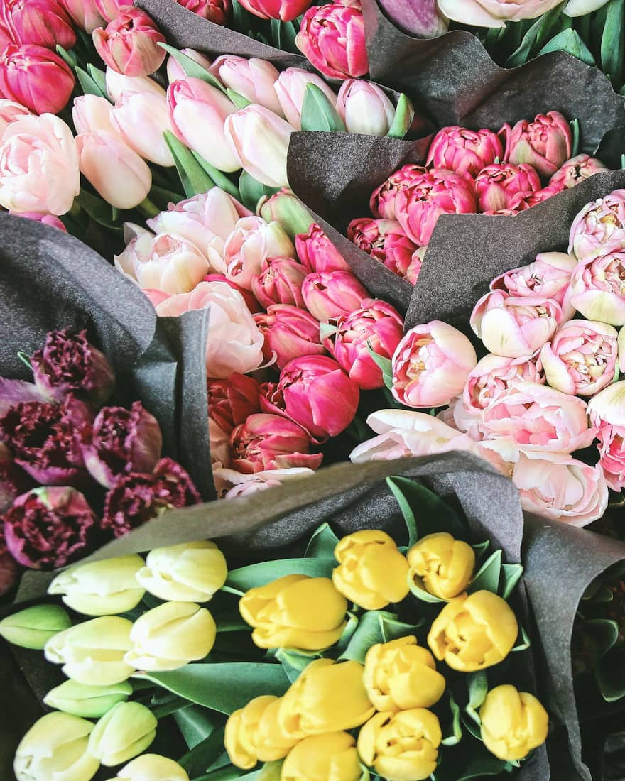 Bright Tulip Bunch