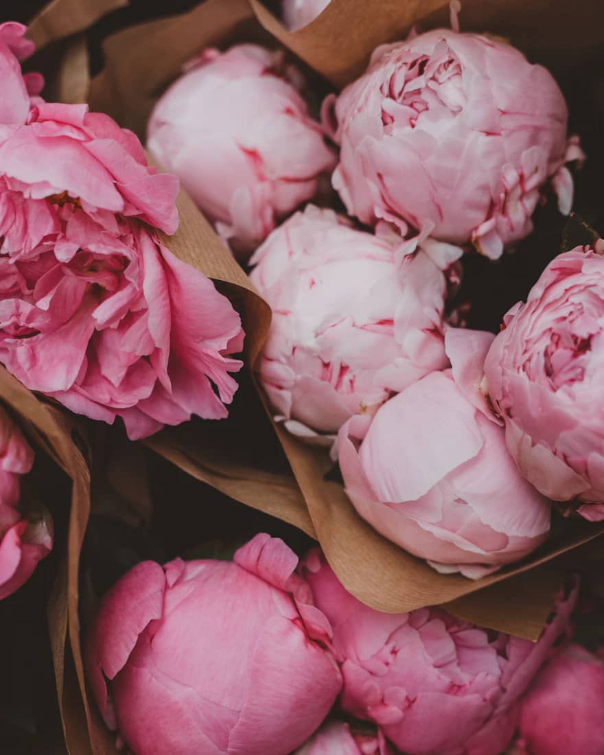 Luxe Signature Rose Box