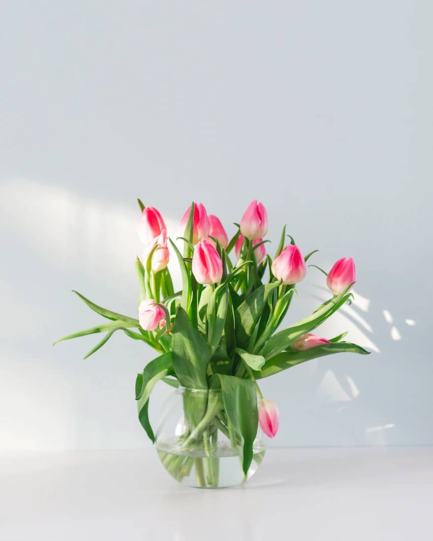 Pastel Tulip Vase