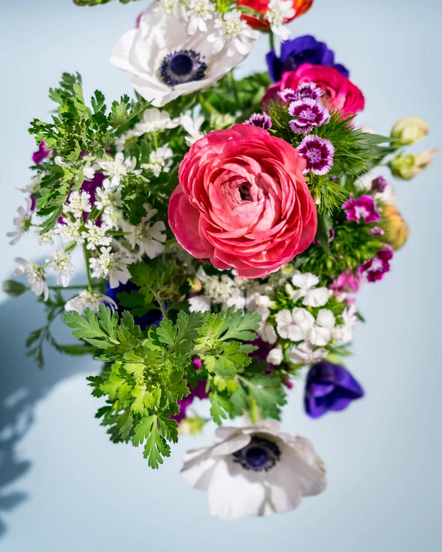 Pink Roses & Baby's Breath
