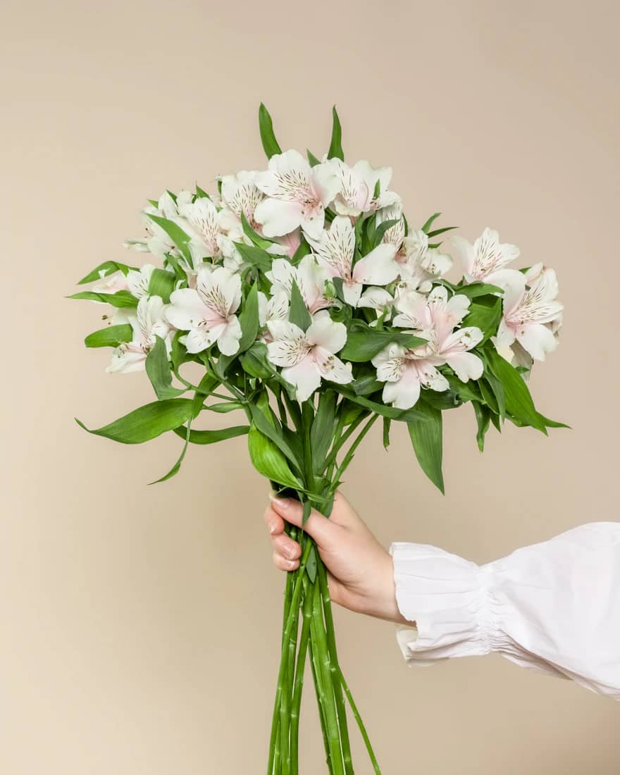 White Blossom Comfort Bouquet